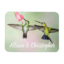 Buscar colibri imanes General y unisex