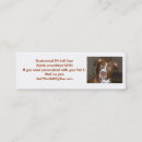 Buscar apbt Americano