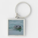 Buscar foca llaveros Naturaleza