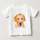 Buscar labrador retriever ropa Laboratorio