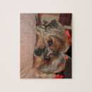 Buscar yorkies puzzles Terrier de yorkshire