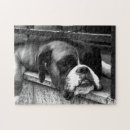 Buscar boxeador puzzles Blanco