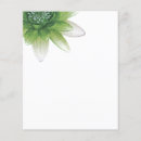 Buscar paz flyers 5 º zinja