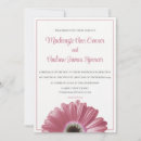 Buscar gerbera rosado Para ellos