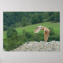 Buscar común posters Al aire libre