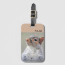 Buscar animal fotografía accesorios Adorable