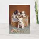 Buscar carla tarjetas Carl reichert