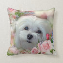 Buscar maltese cojines General y unisex