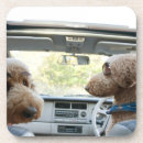 Buscar parte del cuerpo posavasos Dentro