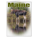 Buscar alces postales Vaca