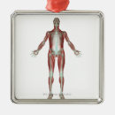 Buscar musculoesquelético posters Parte del cuerpo humana
