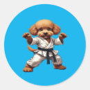 Buscar karate pegatinas Kung fu