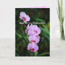 Buscar orquídeas hawaianas tarjetas Hawaii