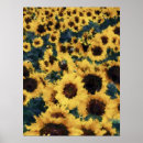 Buscar pinturas de girasoles posters Pintar