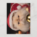 Buscar gruñón postales Gatito