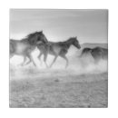 Buscar mustang azulejos Caballos