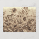 Buscar girasol retro postales Vintage