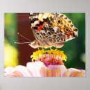 Buscar bello arte Flor