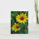 Buscar susans tarjetas Flores