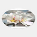 Buscar almendras pegatinas Floral