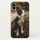 Buscar lindas del d iphone fundas Perro