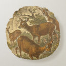 Buscar animales de caza cojines Bosque