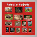 Buscar matriz posters Naturaleza