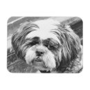 Buscar tzu imanes Animales