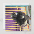 Buscar confuso tarjetas Fotografía