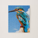 Buscar martín pescador puzzles General y unisex