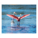 Buscar favorable posters General y unisex