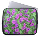 Buscar petunias Paisaje