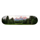 Buscar belleza tablas de skate Belleza en naturaleza