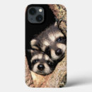 Buscar criaturas ipad fundas Mapache
