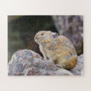 Buscar roedores puzzles Naturaleza