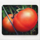 Buscar tomate alfombrillas de raton Rojo
