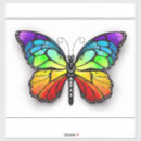 Buscar mariposa arco iris pegatinas Monarca