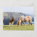 Buscar potro de la yegua postales Granja