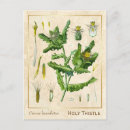 Buscar vintage botanical postales Botánico