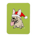 Buscar noel imanes Animales