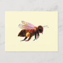 Buscar abeja de la miel postales Para todos