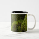 Buscar espiritualidad tazas Fresco