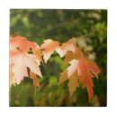 Buscar autumn azulejos Mosaico