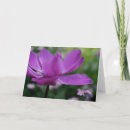 Buscar enfermo fotograficas tarjetas Botánico