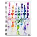 Buscar neuronas libretas Biología