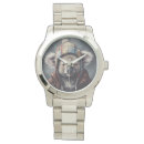 Buscar koala relojes Australia