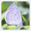 Buscar azure pegatinas Blanco