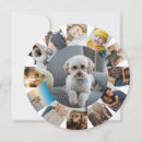 Buscar redonda tarjetas General y unisex