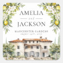 Buscar aceitunas pegatinas Italiano