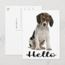 Buscar dibujos animados divertidos postales Cachorro
